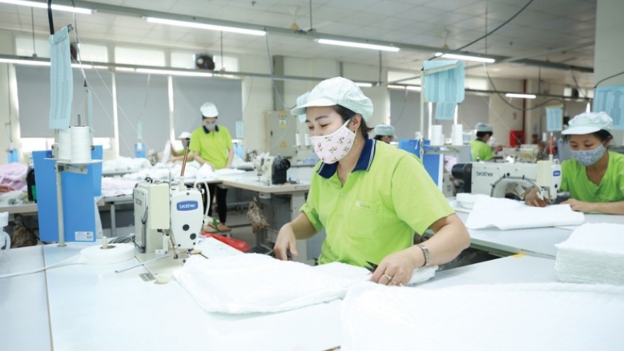 Vietnamese enterprises must act proactively to meet EU supply chain standards